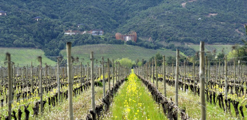 Clos Apalta Residence Relais & Chateaux Santa Cruz Exterior photo